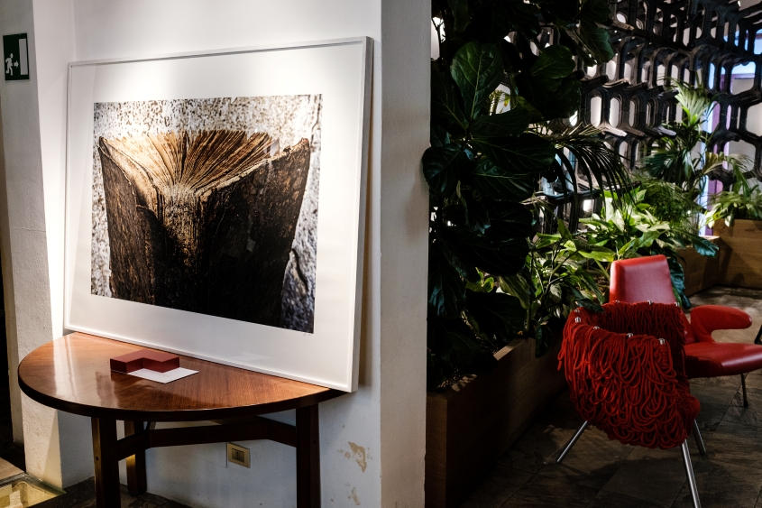 GDL_IQOS EMBASSY_TURIN_02